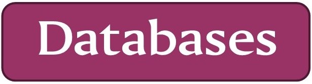 Databases widget.jpg